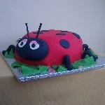 Ladybird Cake